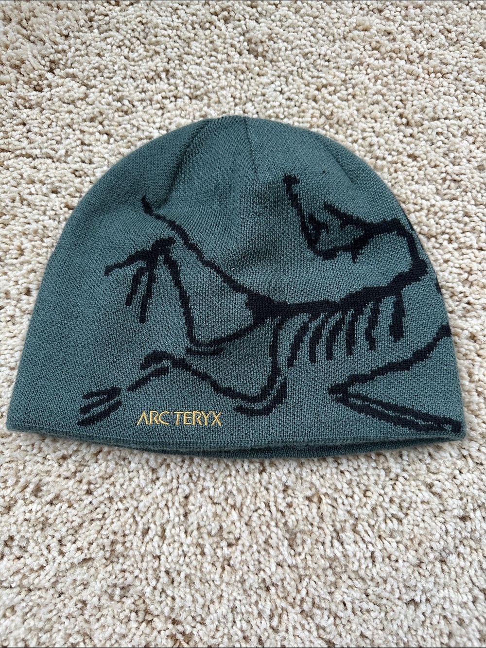 Arc’teryn beanie